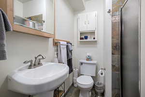 Bathroom featuring a sink, a shower stall, and toilet