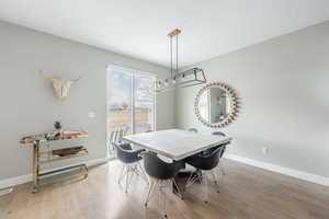 Dining space with baseboards, visible vents, and light wood-style floors