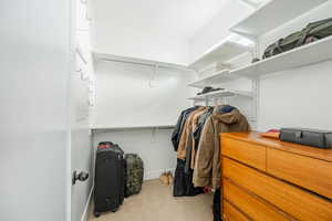 Walk in closet with light carpet