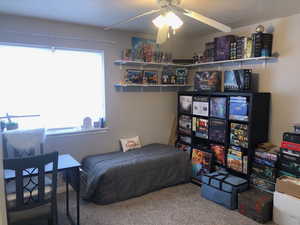 Bedroom featuring carpet floors