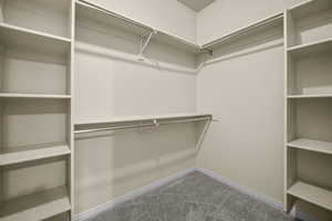 Spacious closet featuring carpet floors