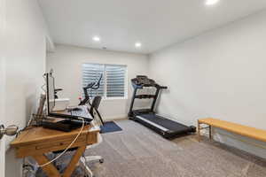 Workout area with carpet, visible vents, baseboards, and recessed lighting