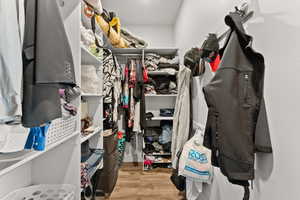 Walk in closet featuring light wood-style flooring