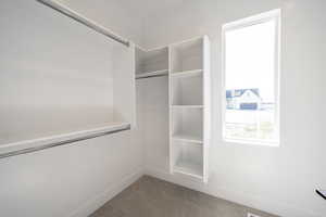 Walk in closet featuring carpet