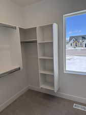 Spacious closet with carpet floors and visible vents