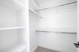 Walk in closet with carpet flooring