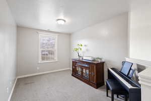 Sitting room featuring light colored carpet, visible vents, baseboards, and a textured ceiling