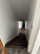 Stairway with wood-type flooring