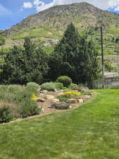 View of mountain background