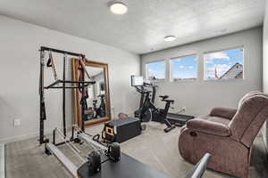 Exercise room with baseboards, carpet, visible vents, and a textured ceiling