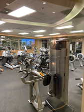 Exercise room with a paneled ceiling