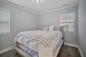 Bedroom with dark carpet, visible vents, and baseboards