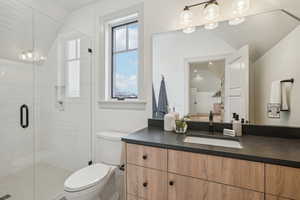 Bathroom featuring lofted ceiling, a stall shower, vanity, and toilet