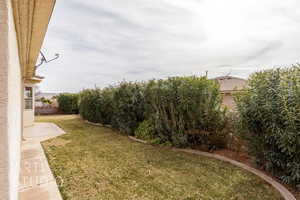 View of Back Yard