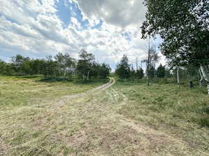 View of road with a rural view