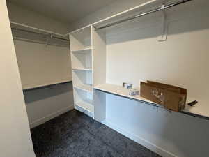 Spacious closet featuring dark colored carpet