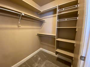 Spacious closet with carpet