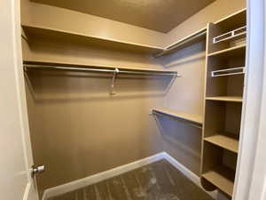 Spacious closet featuring dark carpet