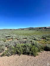 View of lot from Strawberry Lakeview Dr looking West.