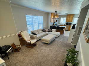 Carpeted living room with a textured ceiling, a chandelier, visible vents, and crown molding