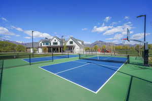 2 full size professional pickleball courts
