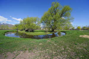 Stream that runs through property