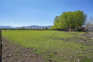 Pasture