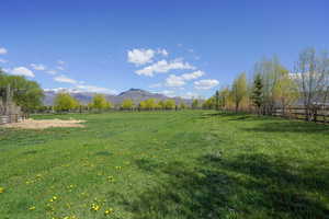 Pasture