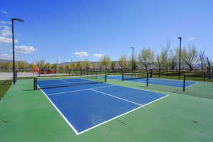 2 full size professional pickleball courts