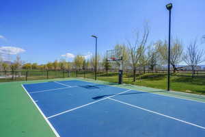 2 full size professional pickleball courts