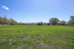 Pasture