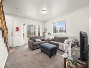 Carpeted living area with extra windows,  featuring baseboards and crown molding