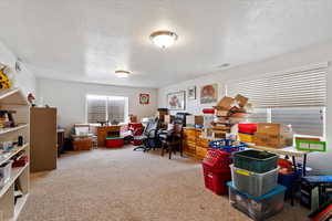 Office area featuring a textured ceiling, carpet floors, plenty of natural light, and visible vents