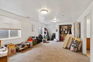 Interior space with visible vents, a textured ceiling, and carpet flooring