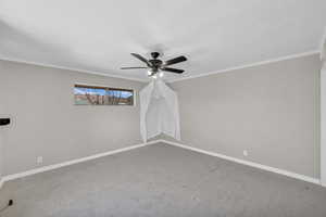 Unfurnished room featuring ornamental molding, carpet flooring, ceiling fan, and baseboards