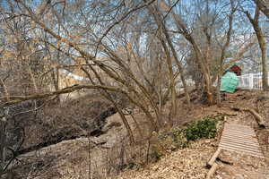 View of stream and backyard along the north property line.