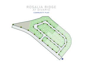 Rosalia Ridge Plat Map