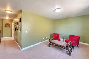 Sitting room featuring carpet flooring, a textured ceiling, and baseboards