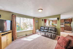 Living area with light carpet, a textured ceiling, and baseboards