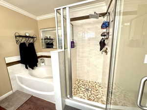 Full Primary bath featuring ornamental molding, a shower stall, and a bath