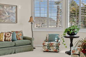 Sitting room with carpet floors, plenty of natural light, and baseboards