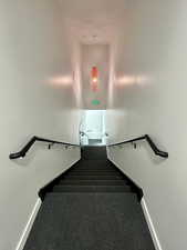 Stairs featuring carpet flooring and baseboards