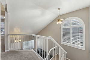 Staircase with carpet, lofted ceiling, baseboards, and ceiling fan with notable chandelier