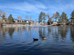 Property view of water featuring a residential view