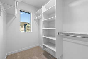 Spacious closet featuring carpet flooring