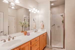 Full bathroom featuring a sink, a shower stall, and double vanity