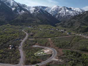 Birds eye view of property featuring a mountain view and a wooded view