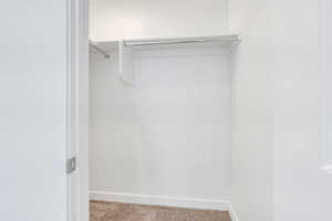 Spacious closet featuring light colored carpet