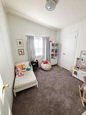 Bedroom with lofted ceiling and dark carpet