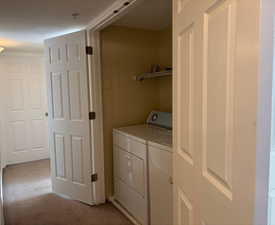 Washroom with light carpet, laundry area, and washer and clothes dryer